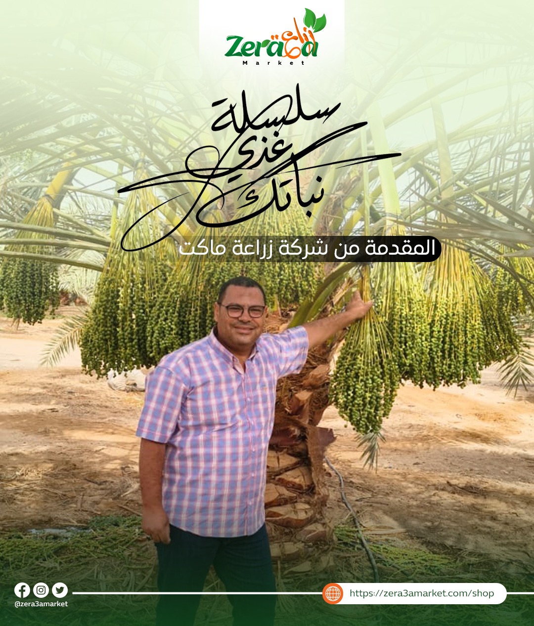 زراعة النخيل مع الدكتور عبدالرحمن
