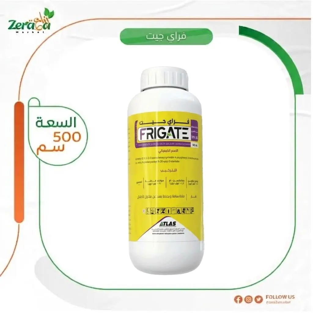 فراي جيت