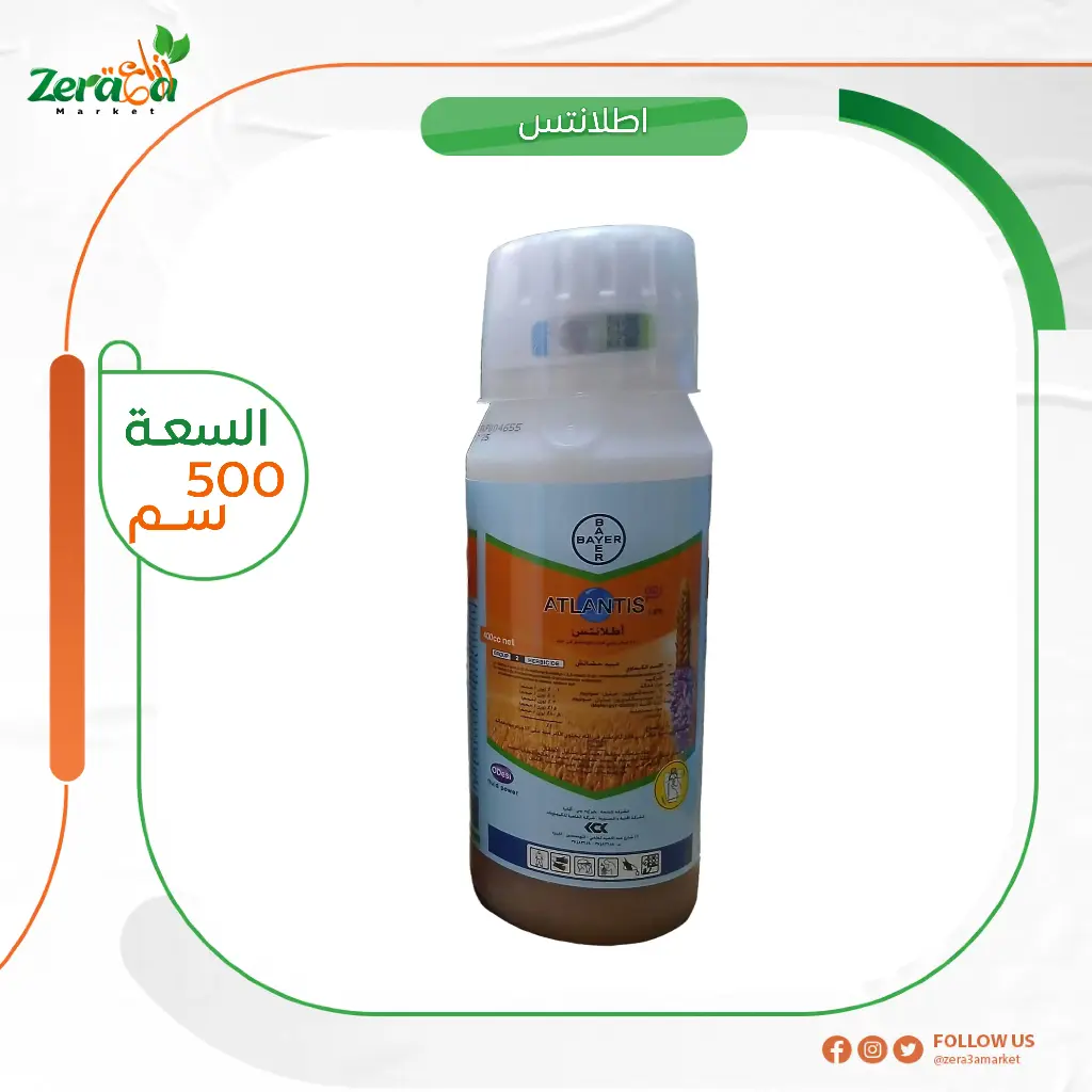 اطلانتس - 500سم