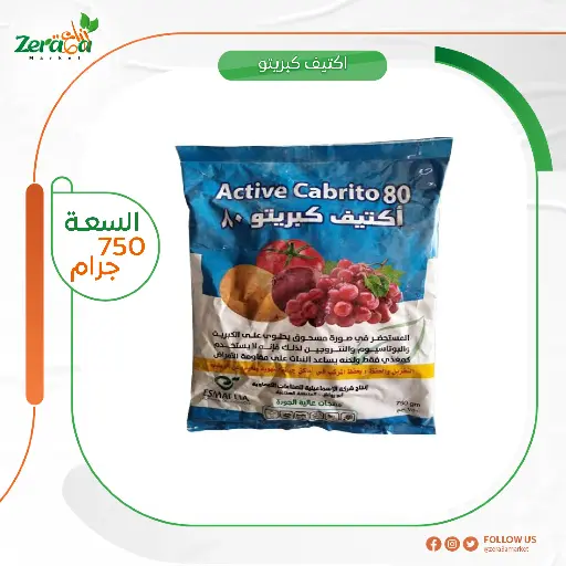 [PF00005] اكتيف كبريتو 80% كبريت ميكروني- 750 جرام