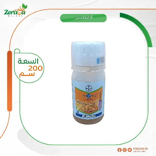 [HC00039] اطلانتس -  200 سم
